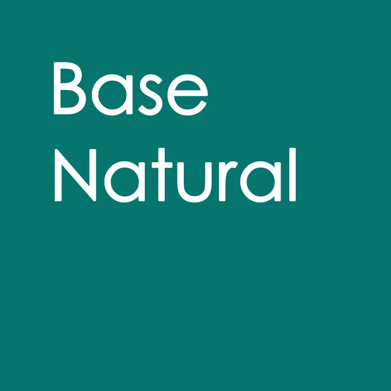 BaseNatural本色制品的LOGO