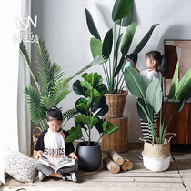 Nordic ground simulation plant ornaments green plant indoor living room home decoration banana tree olive anchovy tree