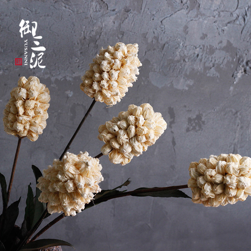 Hyacinth wholesale dry flower simulation flower floor dry flower garden display flower art living room decorative flower shooting props