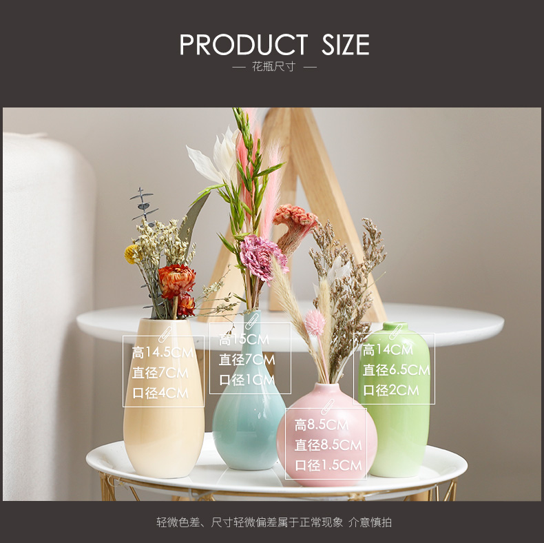 Modern small pure and fresh and creative home decoration dry vase Nordic furnishing articles, ikebana ceramic floret bottle contracted sitting room