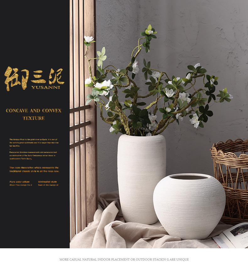 Dried flower vase coarse pottery flowerpot checking ceramic I and contracted hydroponic fleshy Nordic white sitting room place, arranging flowers