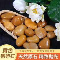 Yellow Goose Pebble Hydroponic Paving Garden Forest Landscape Decoration Defends Feng Shui Stones Decoration Nature Warm Stones Small Stones