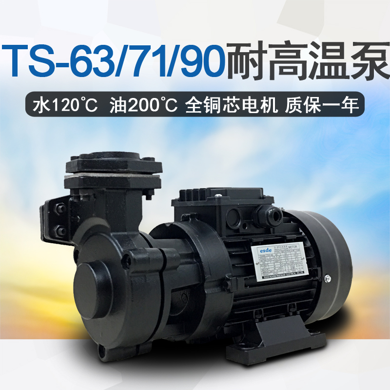 Thermal oil circulation pump High temperature heat pump 380v three-phase TS-63 71 80 100 Mold temperature machine pump TSR90