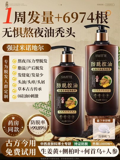 Ingwer-Shampoo verhindert Haarausfall, stärkt das Haar, kontrolliert Öl, flauschiges, nicht wachsendes Haar, verdichtet das Haar, entfernt Schuppen und lindert Juckreiz für Männer und Frauen, offizielles authentisches Produkt