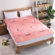 Mùa đông dày flannel sinh viên ký túc xá nệm giường chiếu chăn quilt 1,5m ấm gấp