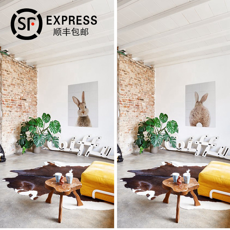 Dutch IXXI Rabbit cute rabbit decorative painting mural wall double-sided series