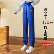Blue lengthened sporty pants female spring autumn new 170 tightness waist loose 180 bundles feet tall casual wear pants