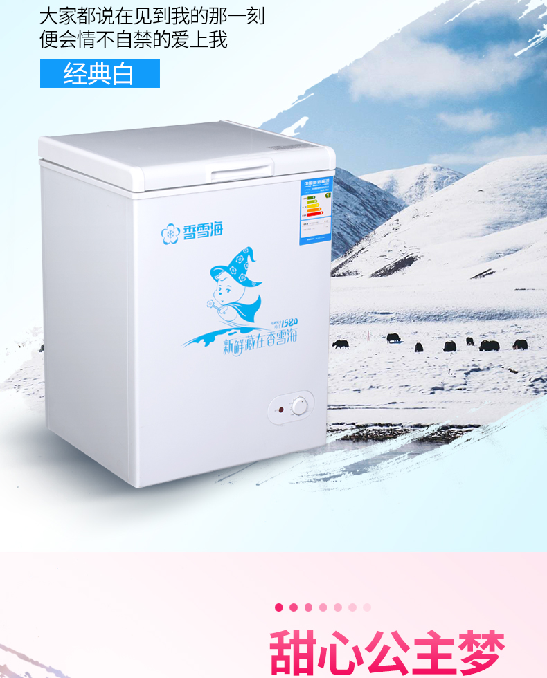 Tủ đông lạnh ngang SNOWSEA / Xiangxuehai BD / BC-106GQ - Tủ đông tủ đông 400 lít