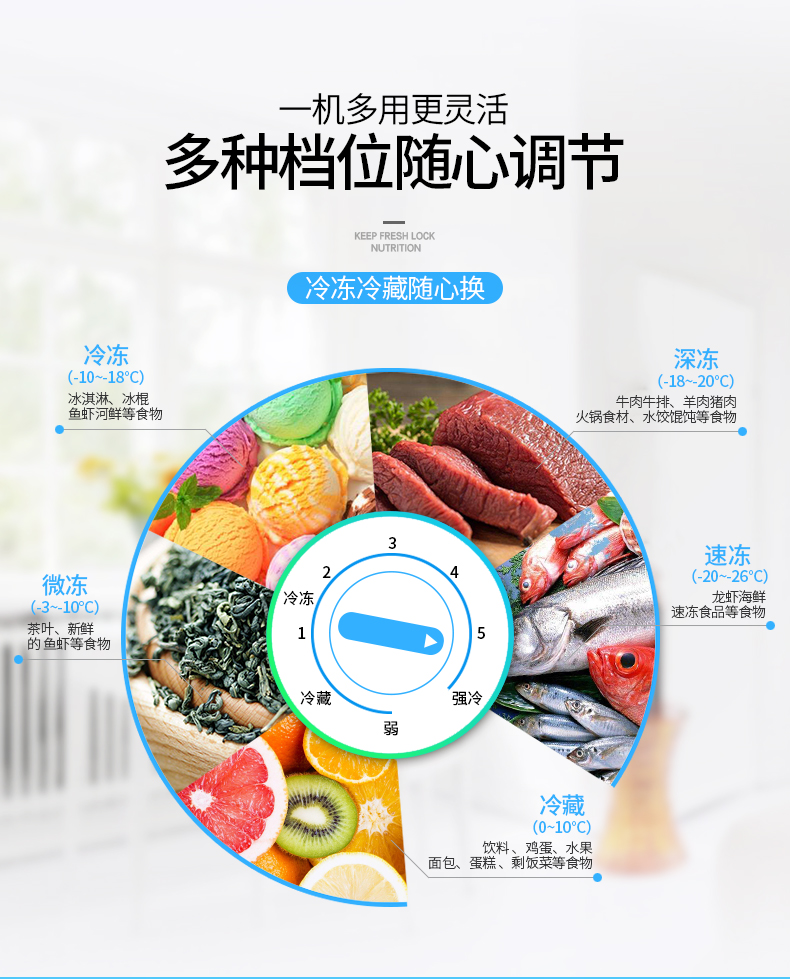 Tủ đông lạnh ngang SNOWSEA / 海 BD / BC-218JA - Tủ đông tủ đông inox sanaky