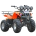 Bulls ATV 125cc xe đạp địa hình địa hình xe máy bốn bánh xe mô tô địa hình - Xe đạp quad