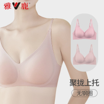 Yalu no trace underwear female 2021 summer new no steel ring gathering anti-sagging back milk beauty style bra