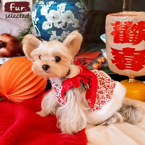 FurFur выходной щенок Новогодняя одежда Новогодняя юбка шаль-накидка праздничная зима маленькая собачка Йоркшир