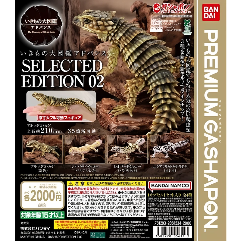 【Hobbyist's Paradise】Gashapon Creature Encyclopedia: Selected Reptiles & Lizards 02 - Armadillo, Leopard Gecko, Fat-Tailed Gecko