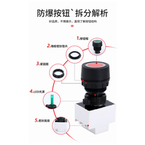 With lamp button mm self-reset with lamp button 30 explosion protection anti-explosion B30A80 anti-explosion button switch