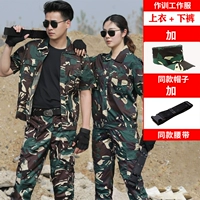 Камуфляжный короткий комплект, шапка, ремень