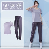 Два фиолетовых+серых фиолетовых двух набор TC37508