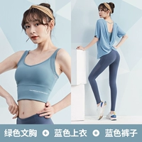 Зеленый+синий три -купюр TC9238