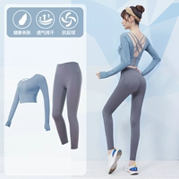 [Длинной рукав] серо -синий+темно -серый два -купюр TC12313