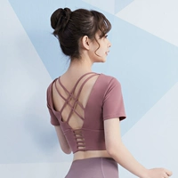 [Short -Sleeved] Brick Red FBF20757