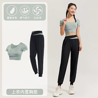 Bud green два -купюр набор TC59049