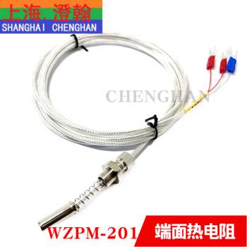 ຄວາມຕ້ານທານຄວາມຮ້ອນ Pt100 Thermocouple WZPM-201 ປາຍໃບຫນ້າທົນທານຕໍ່ຄວາມຮ້ອນຂອງເຊັນເຊີອຸນຫະພູມ probe M8 platinum ຄວາມຕ້ານທານ