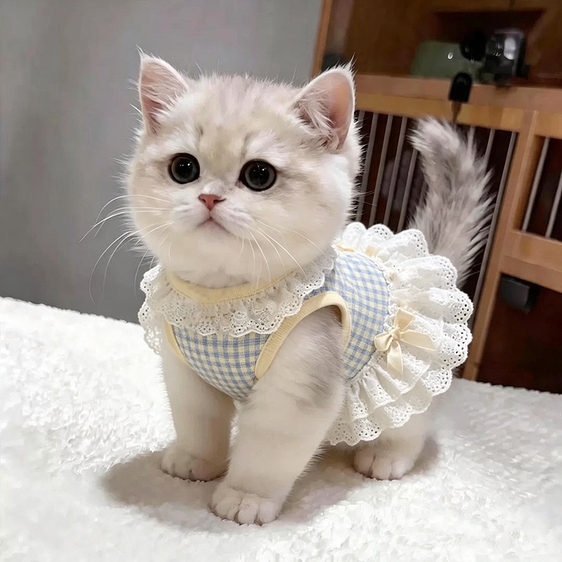 Cat Clothes Spring and Autumn Thin Cute Dress Pet Ragdoll Cat Blue Cat Golden Tabby Maine Anti-Shedding Vest Cat Clothes Spring and Autumn Thin Cute Dress Pet Ragdoll Cat Blue Cat Golden Tabby Maine Anti-Shedding Vest