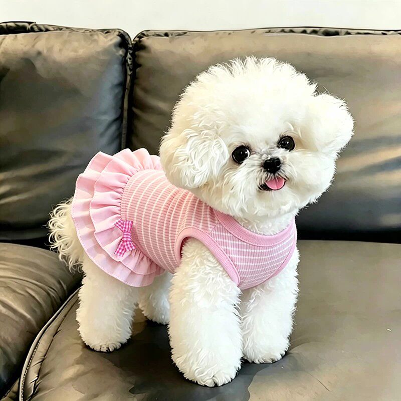 Puppy Clothes Autumn and Winter New Style Tutu Skirt Pet Small Dog Bichon Teddy Schnauzer Yorkshire West Highland
