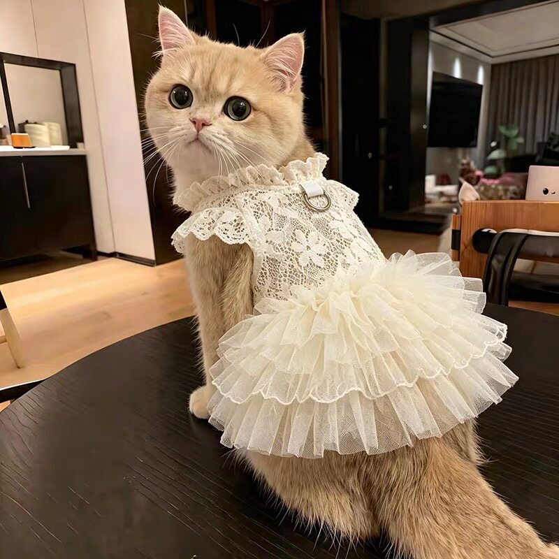 Kitten Clothes Summer Thin Dress Pet Golden Tabby Ragdoll Cat Mesh Cute Pet Princess Dress Kitten Clothes Summer Thin Dress Pet Golden Tabby Ragdoll Cat Mesh Cute Pet Princess Dress