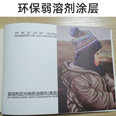 Струйный ткань 弱溶剂油画布哑光棉质油性防水影像级喷墨打印介质无框画艺术复制