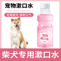 柴犬专用狗狗漱口水牙齿口腔清洁清新口气异味宠物可食饮用