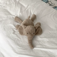 Папа серый слон 55 см