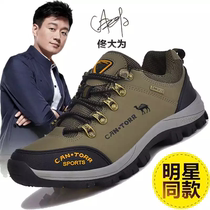 Red Dragonfly mens shoes in autumn winter outdoor leisure shoes 50 year old dad sneakers waterproof and anti - slip in old age