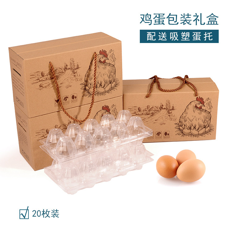 Farmhometown Lower earth eggs 20 Bottling Egg Carton Packaging Hand Gift Bag Eggs PLASTIC EGGS INSIDE THE EGGS