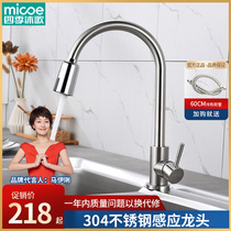 Four Seasons Body Wash Kitchen induction tap hot and cold pull-out sink tap Kitchen With Vegetable Wash Basin Tap