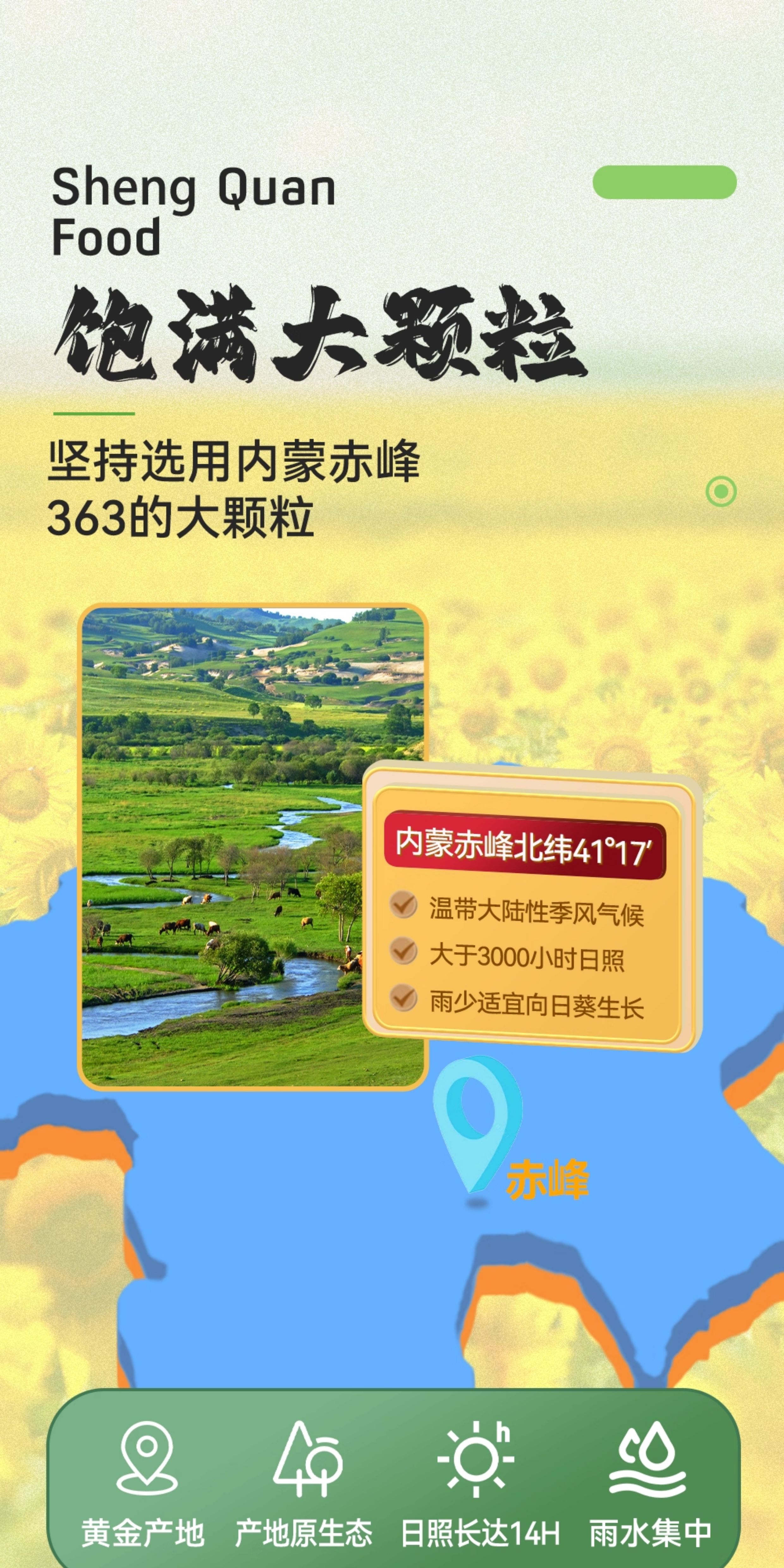 安享好物 安享D级葵花籽-升泉陈皮 古法瓜子 国标 