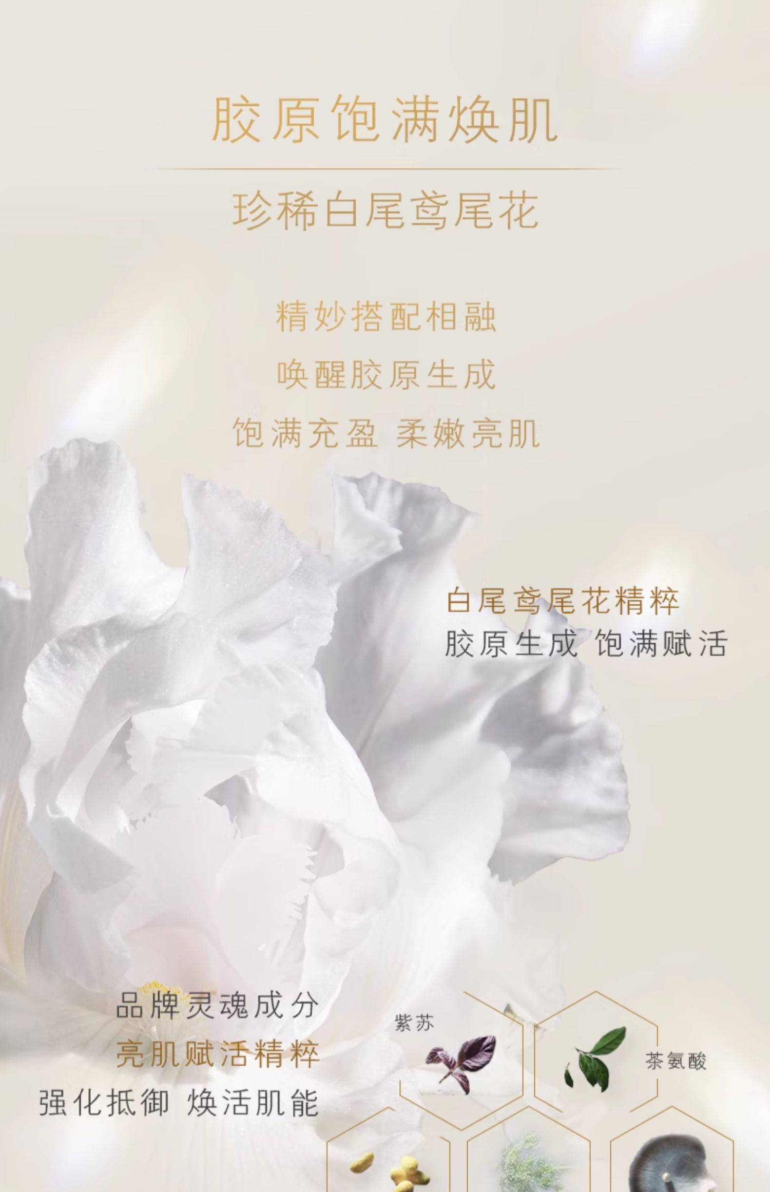 【日本直郵】日本本土最新版CLE DE PEAU BEAUTE肌膚之鑰 CPB 4D耀白美白精華乳液40ml