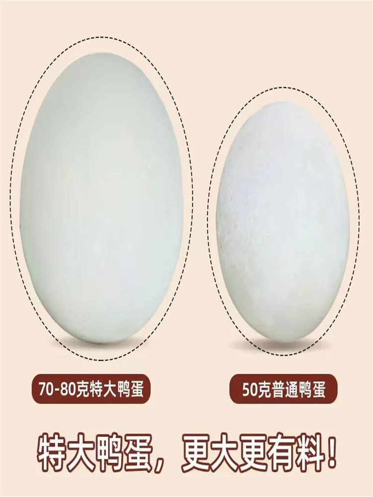 XXS Salted Duck Eggs, Authentic and Rich in Oil, Whole Box of Double-Yolk Salted Duck Eggs, Double-Yolk Salted Eggs, Cooked Salted Egg Yolks, Non-Raw Roasted Sea Duck Eggs