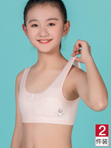 Next Kiss Girl Underwear Little Vest Summer Thin hair Pregnancy Smear Girl Big Child Girl Bra