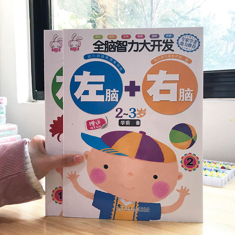 Children's left and right brain intelligence development game book 2-6 years old baby thinking training enlightenment early education sticker puzzle book