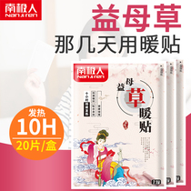South Pole person motherwort warm up to woman hot compress tummy leg fever waist and belly warm baby self-cervical spine patch winter