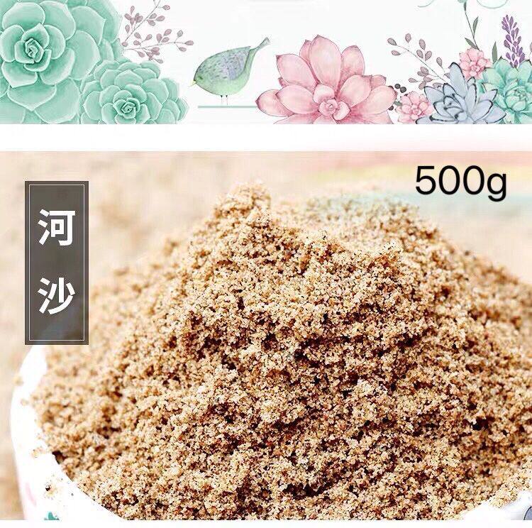 Turtle Winter Sleeping Sand Mixed Sand Fish Tank Bottom Sandy Water Clan Building Eggs Warm Sand Natural River Sand