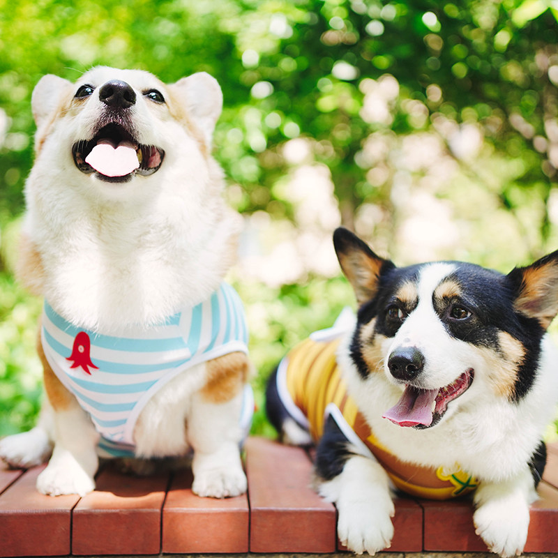 Little B - Cub Limited Summer New Pet Cute Clothing Dog Summer Cool Stereoscopic Stripes Cute Vest