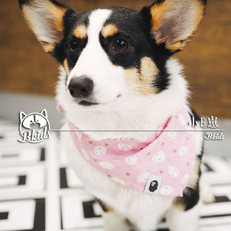 Customized feedback Japanese rabbit watermelon towel Cokibi bear comfortably selling thin trigonal scarf