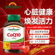 ປ້ອງກັນຫົວໃຈ coenzyme q10 bodybuilder
