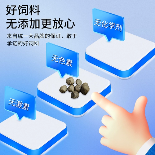 统一 Baoduofu Koi Fish Feed Fid Food Goldship Уничтожая тело декоративное выращивание рыбы Специальный цвет нелегко быть грязной водой