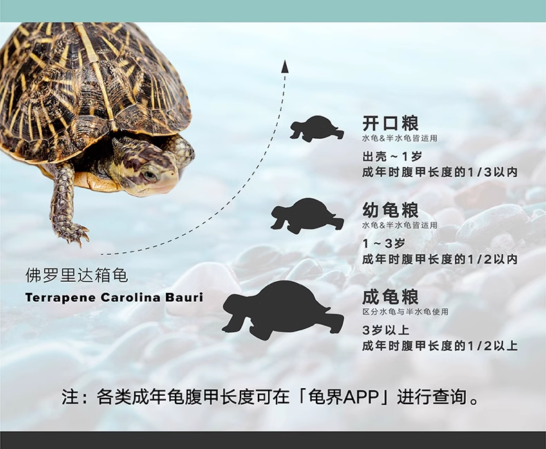 Подробная информация о Lifeline Half-Water Turtle Food_14.png