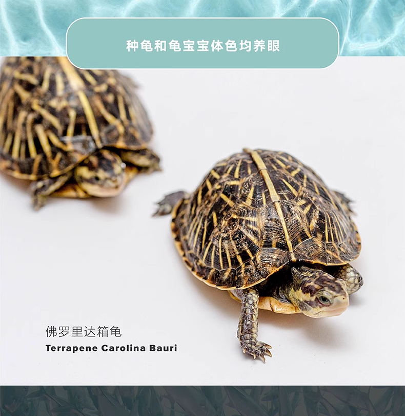 Подробная информация о Lifeline Half-Water Turtle Food_10.png