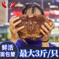 Fresh fresh freeze bread crab Ireland freeze gold crab crab aquatic crab jewel 3 pounds one