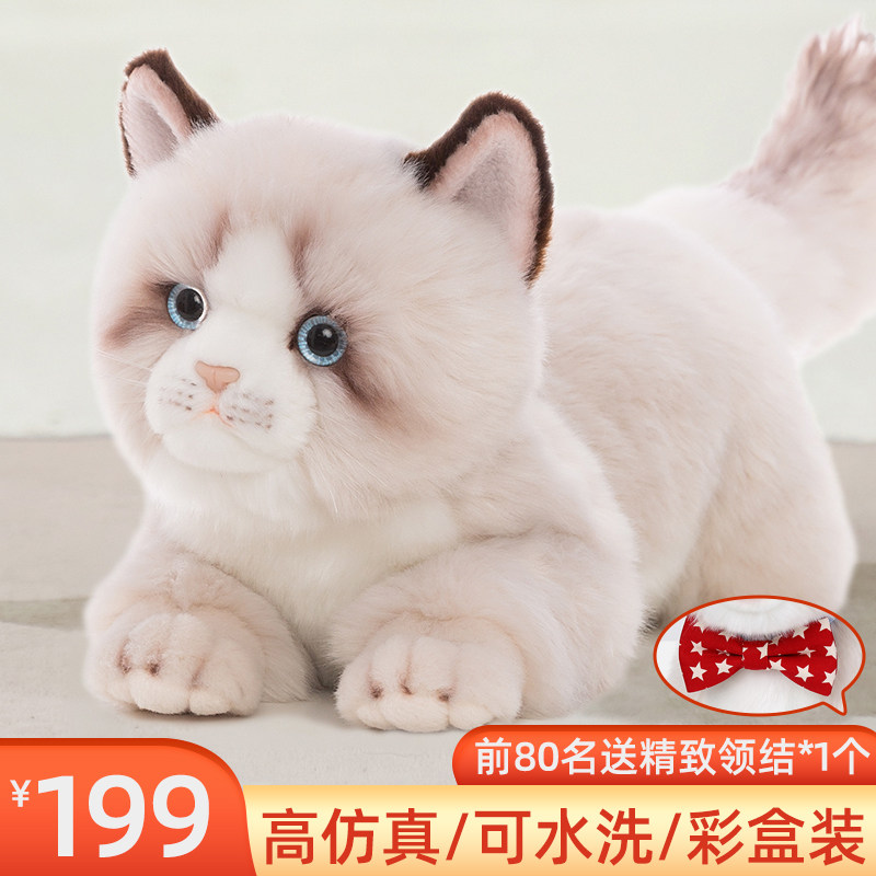 Cute simulation cat doll puppet doll girl sleeping plush toy doll girl companion birthday gift