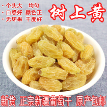 Tree yellow Xinjiang specialty Turpan super large Hami King raisin disposable instant dried fruit 500g